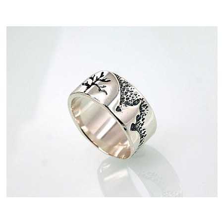 Sidabrinis žiedas-Žiedai