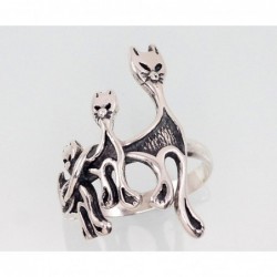 Sidabrinis žiedas-Žiedai 2