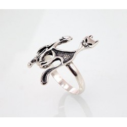 Sidabrinis žiedas0 2