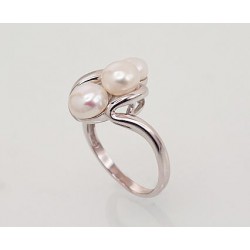 Sidabrinis žiedas0 2