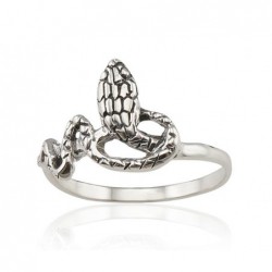 Sidabrinis žiedas-Žiedai 2