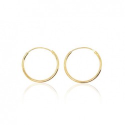 Sidabriniai auskarai0