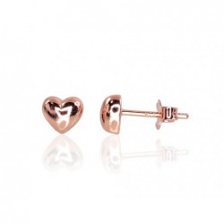 Sidabriniai auskarai0