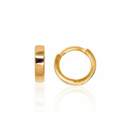 Sidabriniai auskarai0