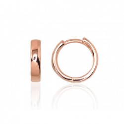 Sidabriniai auskarai0