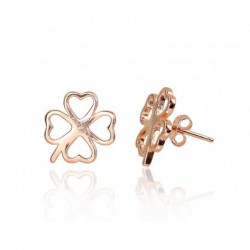 Sidabriniai auskarai0