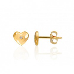 Sidabriniai auskarai0