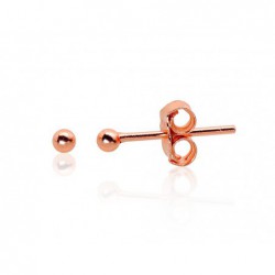 Sidabriniai auskarai0