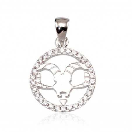 Sidabrinis pakabukas0