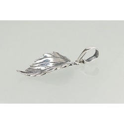 Sidabrinis pakabukas0 2