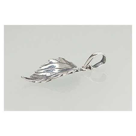 Sidabrinis pakabukas1