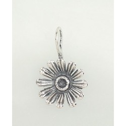 Sidabrinis pakabukas-Pakabukas