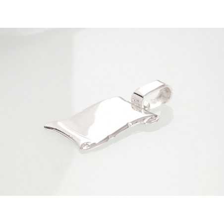 Sidabrinis pakabukas1