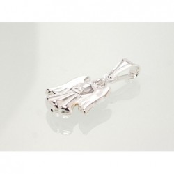 Sidabrinis pakabukas0 2