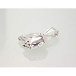 Sidabrinis pakabukas0 2