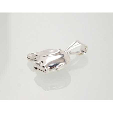 Sidabrinis pakabukas1