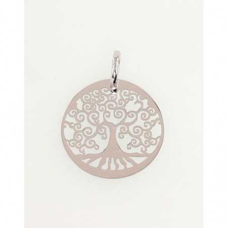 Sidabrinis pakabukas0