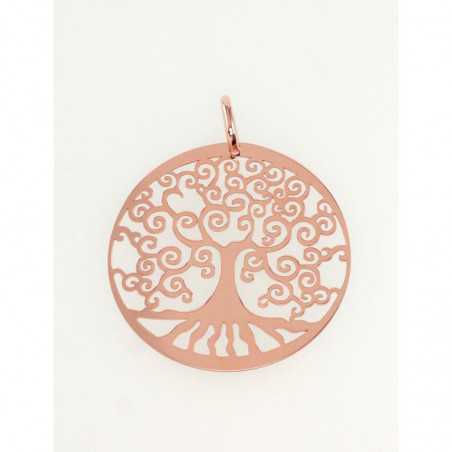 Sidabrinis pakabukas0