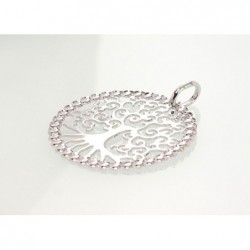 Sidabrinis pakabukas-Pakabukas 2